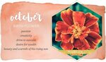 October Birth Flower: Marigold - FTD.com October birth flowe
