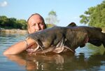 Day 18: Noodling for Catfish Now Legal in Texas The Texas Tr