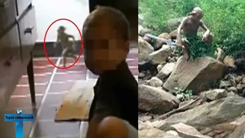 10 Real Goblins Caught On Tape & Spotted In Real Life - YouT