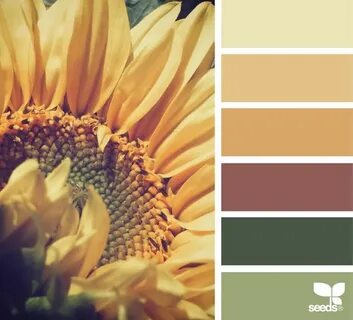 Sunflower Hues Decor color schemes, Sunflower color palette,