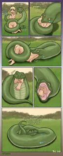 Snake vore - Adult Excellent pics FREE. Comments: 1