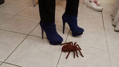 Teaser video, high heels play with spider - YouTube