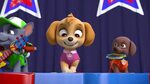 ᴴᴰ Paw Patrol Episodes 2016 Pups Save The Soccer - Madreview