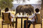 East African Safari: Kenya and Tanzania Luxury Tour - Africa
