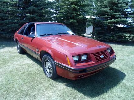 File:1984 Ford Mustang GT (7539519256).jpg - Wikimedia Commo