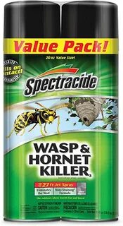 Best Wasp Sprays - CroKids