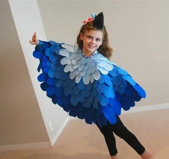 Jewel Costume from Rio Fun Family Crafts