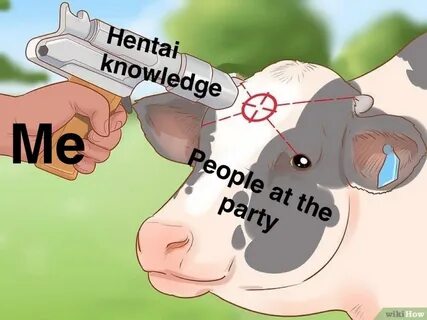 Bolt of hentai knowledge WikiHow Know Your Meme