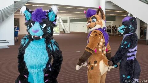 Strobes on Twitter: "When bae debuts the new fursuit 📸 @Lion