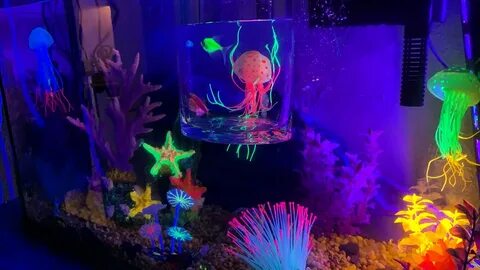 How I made my first 29 gallon tank for Glofish - YouTube