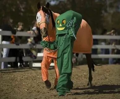 The 20 Most Miserable Horses In The World Horse halloween co