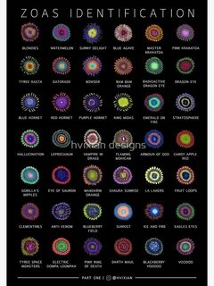 Zoanthids Identification Poster Poster by hvixian designs in