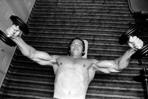 NUTRIMUSCLE - Arnold Schwarzenegger : Actualités, vidéos, ét