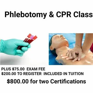 4 Week Phlebotomy Classes Near Me NeCitizen