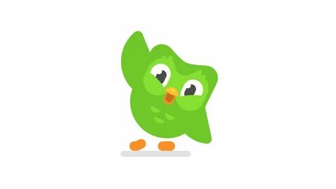 Duolingo Meme Wallpapers - Wallpaper Cave