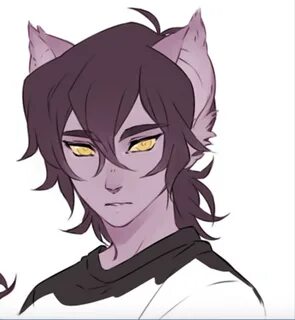 Voltron: The Lost Lion Keith X Reader Voltron galra, Voltron