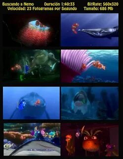 Buscando A Nemo 2003 Dvdrip Related Keywords & Suggestions -