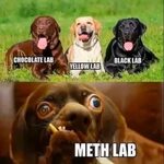 Meth Lab Meme - Captions Pages