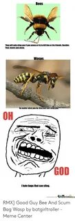 🐣 25+ Best Memes About Bag Wasp Bag Wasp Memes