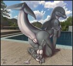 F Dolphin tease*redraptor16* Animals Hentai Truyen-Hentai.co