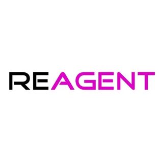 RE Agent - YouTube