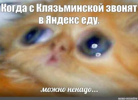 Meme: "Когда с Клязьминской звонят в Яндекс еду." - All Temp