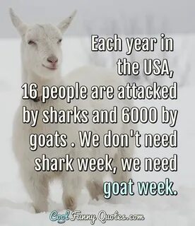 Funny Quote Goat quote, Funny quotes, Jokes quotes