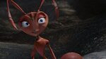 The Ant Bully Wallpapers High Quality Download Free