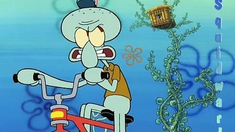 Free download Squidward D Squidward Wallpaper 25218489 800x6