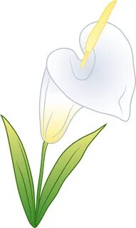 Small Vase Calla Lilies - Clip Art Library