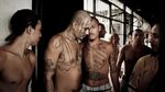 Has Trump 'Watched ICE Liberate Towns From the Grasp of MS-1