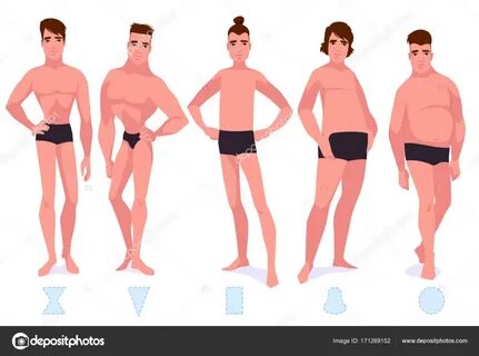 Set of male body shape types - five types. Stock Vector Imag