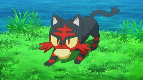 Pokémon the Series: Sun & Moon - That's Why the Litten is a 