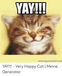 🐣 25+ Best Memes About Happy Cat Meme Generator Happy Cat Me