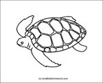 Turtle Outline - The turtle can draw the outline of a shape 