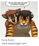 ✅ 25+ Best Memes About Furry Knot Furry Knot Memes