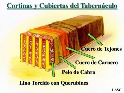 conf-exodo-26137-ex-no-26-el-tabernaculo-y-su-estructura-25-