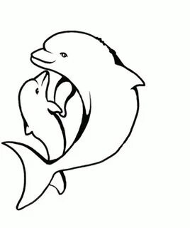 Dolphin Pictures To Color - HD Printable Coloring Pages - Co