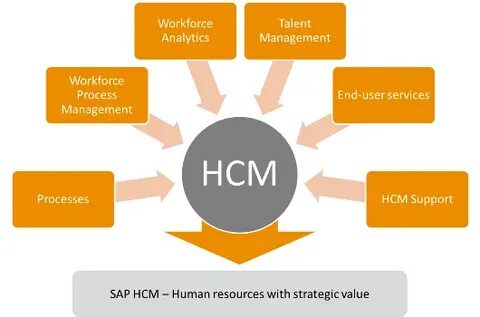 SAP HCM Consulting - Workforce endowment success by optimizi