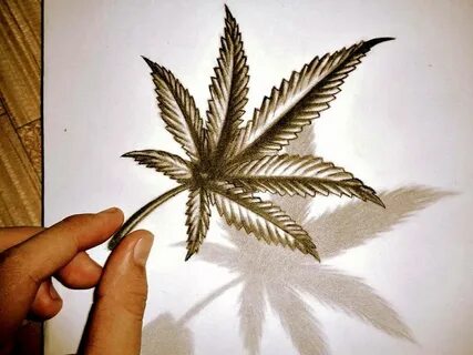 Pencil Weed Drawing Ideas - Beautiful Rasta Drawing by Chris