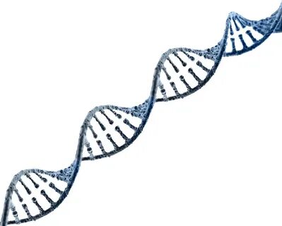 Dna Strand Transparent Background Clipart Free Download - Dn