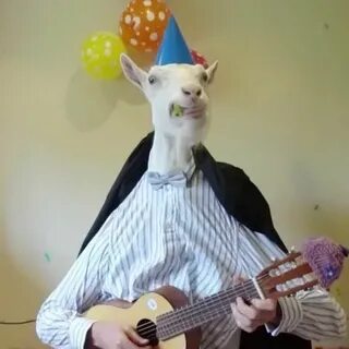 Vine by Goats Mostly Cute animals, Birthday meme, Birthday m