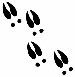 deer hoof prints - Google Search Deer tracks, Deer decal, De