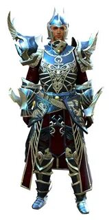 File:Carapace armor (heavy) human male front.jpg - Guild War