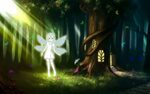 colors fairy Fairy - Nature Forests HD Desktop Wallpaper