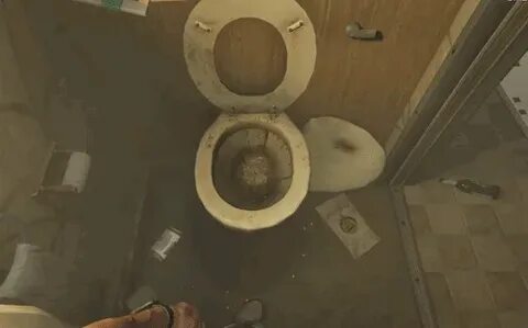 На Reddit новое дурачество - делиться видом из туалета