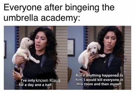 #theumbrellaacademy Atla memes, Academy, Family drama