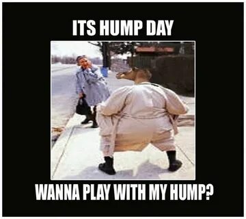 Happy Hump Day Memes - Images, Humor and Funny Pics Funny hu