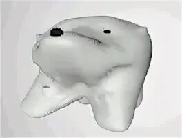 Crappy 3D model Polar Bear Polar Bear GIF Know Your Meme