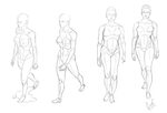 Female walking Reference Drawing poses, Human figure drawing